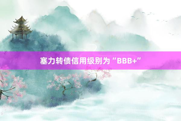 塞力转债信用级别为“BBB+”