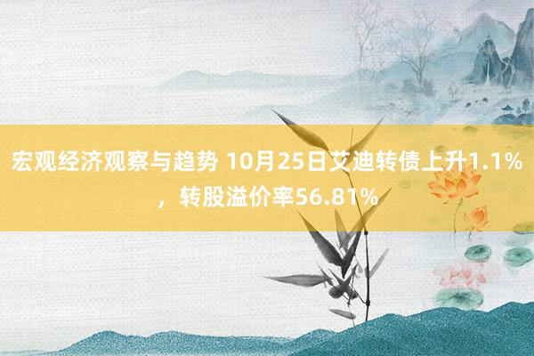 宏观经济观察与趋势 10月25日艾迪转债上升1.1%，转股溢价率56.81%