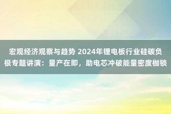 宏观经济观察与趋势 2024年锂电板行业硅碳负极专题讲演：量产在即，助电芯冲破能量密度枷锁