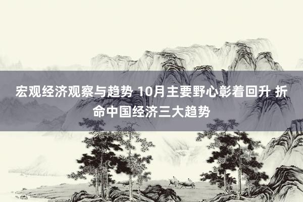 宏观经济观察与趋势 10月主要野心彰着回升 折命中国经济三大趋势