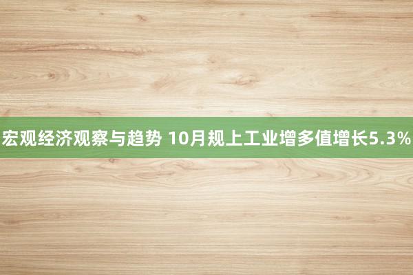 宏观经济观察与趋势 10月规上工业增多值增长5.3%