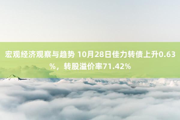 宏观经济观察与趋势 10月28日佳力转债上升0.63%，转股溢价率71.42%