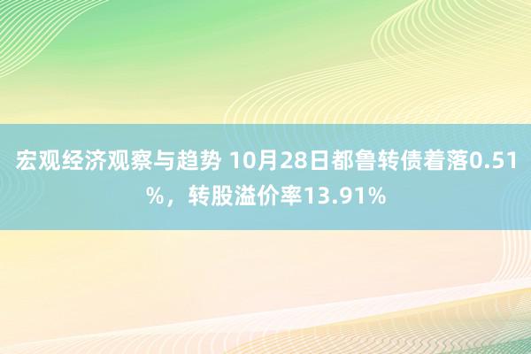 宏观经济观察与趋势 10月28日都鲁转债着落0.51%，转股溢价率13.91%