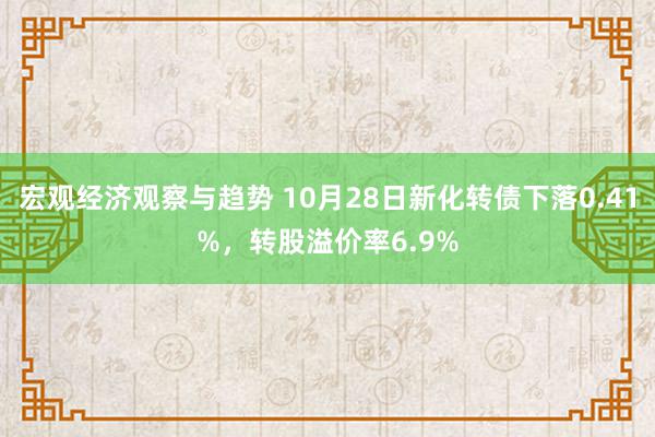 宏观经济观察与趋势 10月28日新化转债下落0.41%，转股溢价率6.9%