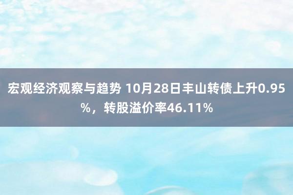 宏观经济观察与趋势 10月28日丰山转债上升0.95%，转股溢价率46.11%