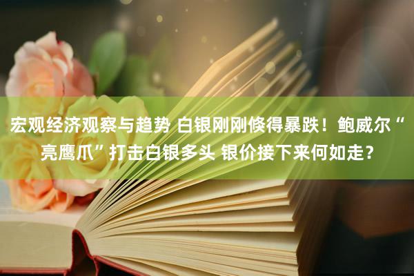 宏观经济观察与趋势 白银刚刚倏得暴跌！鲍威尔“亮鹰爪”打击白银多头 银价接下来何如走？