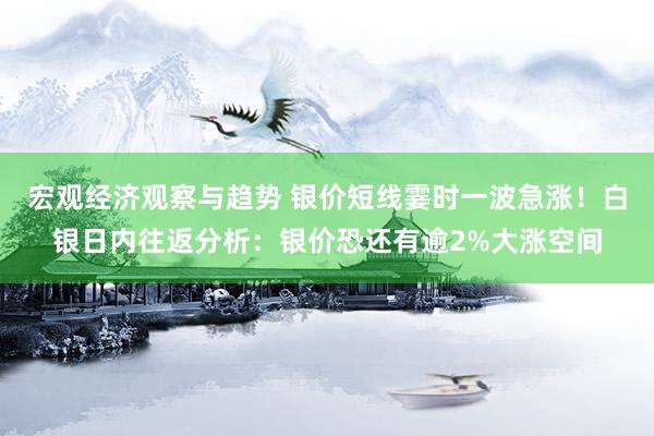 宏观经济观察与趋势 银价短线霎时一波急涨！白银日内往返分析：银价恐还有逾2%大涨空间