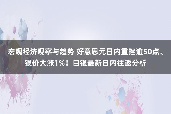 宏观经济观察与趋势 好意思元日内重挫逾50点、银价大涨1%！白银最新日内往返分析