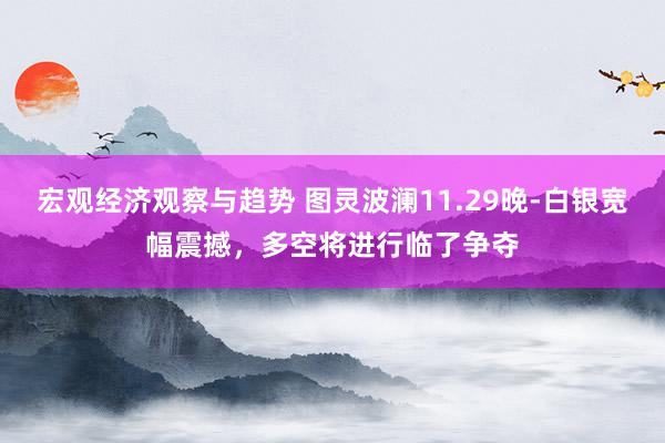 宏观经济观察与趋势 图灵波澜11.29晚-白银宽幅震撼，多空将进行临了争夺