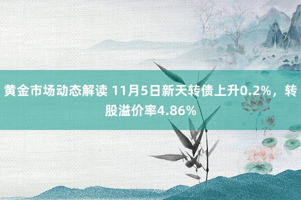 黄金市场动态解读 11月5日新天转债上升0.2%，转股溢价率4.86%