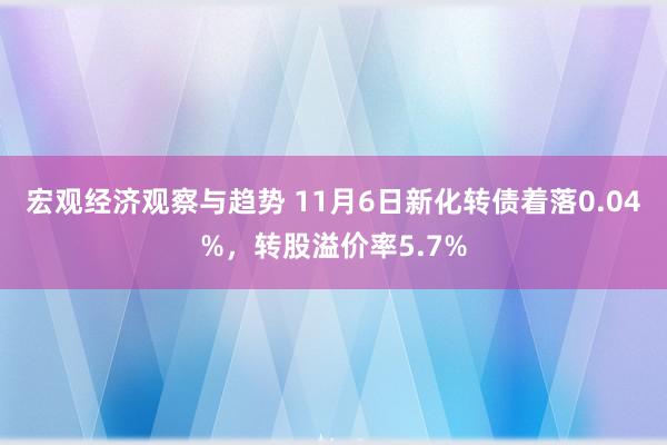 宏观经济观察与趋势 11月6日新化转债着落0.04%，转股溢价率5.7%