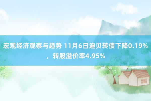 宏观经济观察与趋势 11月6日迪贝转债下降0.19%，转股溢价率4.95%