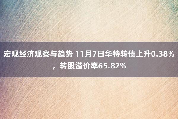 宏观经济观察与趋势 11月7日华特转债上升0.38%，转股溢价率65.82%