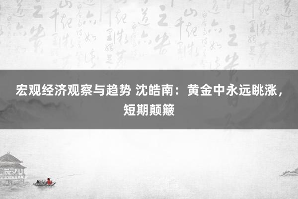 宏观经济观察与趋势 沈皓南：黄金中永远眺涨，短期颠簸