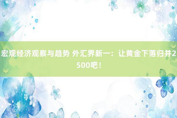 宏观经济观察与趋势 外汇界新一：让黄金下落归并2500吧！