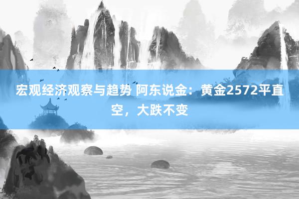 宏观经济观察与趋势 阿东说金：黄金2572平直空，大跌不变