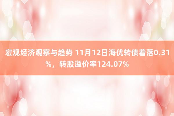 宏观经济观察与趋势 11月12日海优转债着落0.31%，转股溢价率124.07%