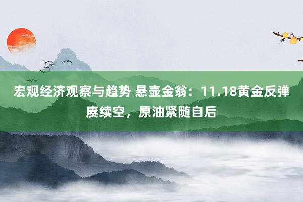 宏观经济观察与趋势 悬壶金翁：11.18黄金反弹赓续空，原油紧随自后