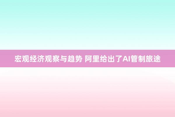 宏观经济观察与趋势 阿里给出了AI管制旅途