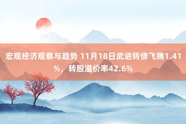 宏观经济观察与趋势 11月18日武进转债飞腾1.41%，转股溢价率42.6%