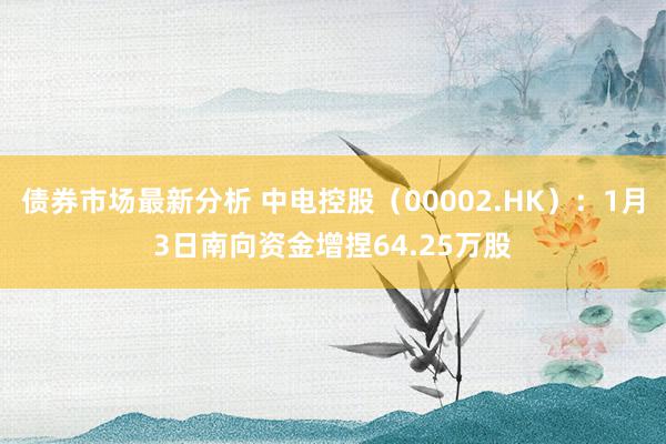 债券市场最新分析 中电控股（00002.HK）：1月3日南向资金增捏64.25万股