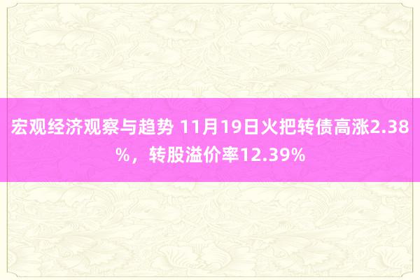 宏观经济观察与趋势 11月19日火把转债高涨2.38%，转股溢价率12.39%