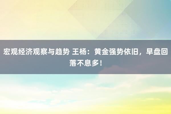 宏观经济观察与趋势 王杨：黄金强势依旧，早盘回落不息多！