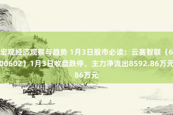 宏观经济观察与趋势 1月3日股市必读：云赛智联（600602）1月3日收盘跌停，主力净流出8592.86万元