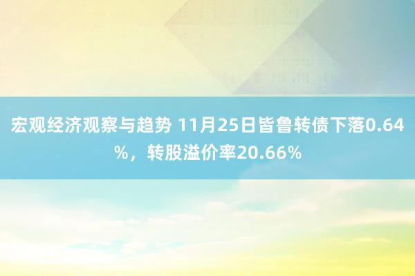 宏观经济观察与趋势 11月25日皆鲁转债下落0.64%，转股溢价率20.66%