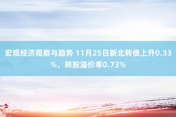 宏观经济观察与趋势 11月25日新北转债上升0.33%，转股溢价率0.73%