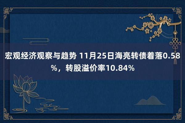 宏观经济观察与趋势 11月25日海亮转债着落0.58%，转股溢价率10.84%