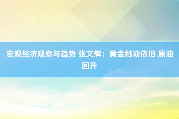 宏观经济观察与趋势 张文辉：黄金触动依旧 原油回升