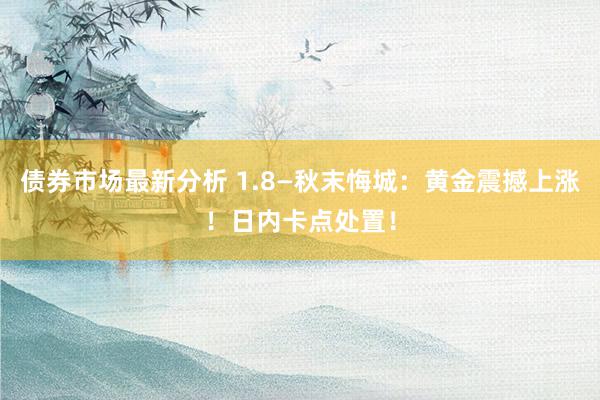 债券市场最新分析 1.8—秋末悔城：黄金震撼上涨！日内卡点处置！