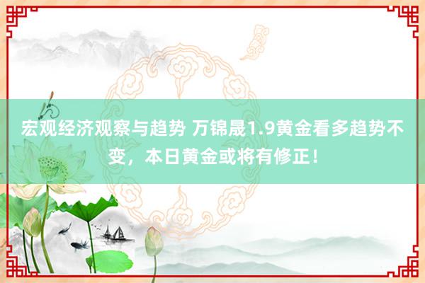 宏观经济观察与趋势 万锦晟1.9黄金看多趋势不变，本日黄金或将有修正！