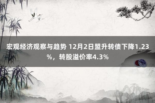 宏观经济观察与趋势 12月2日盟升转债下降1.23%，转股溢价率4.3%