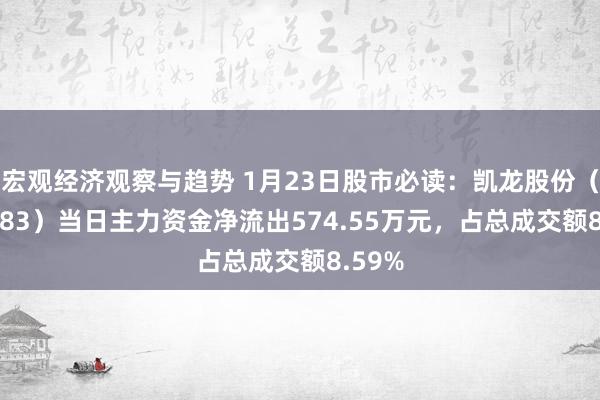 宏观经济观察与趋势 1月23日股市必读：凯龙股份（002783）当日主力资金净流出574.55万元，占总成交额8.59%