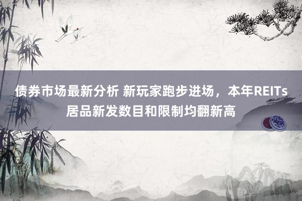 债券市场最新分析 新玩家跑步进场，本年REITs居品新发数目和限制均翻新高