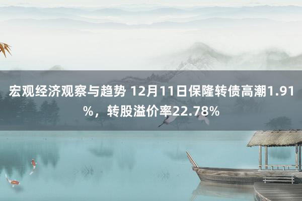 宏观经济观察与趋势 12月11日保隆转债高潮1.91%，转股溢价率22.78%