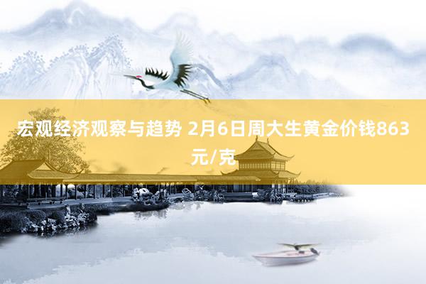 宏观经济观察与趋势 2月6日周大生黄金价钱863元/克