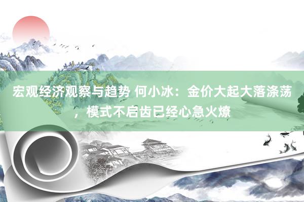 宏观经济观察与趋势 何小冰：金价大起大落涤荡，模式不启齿已经心急火燎