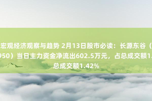 宏观经济观察与趋势 2月13日股市必读：长源东谷（603950）当日主力资金净流出602.5万元，占总成交额1.42%