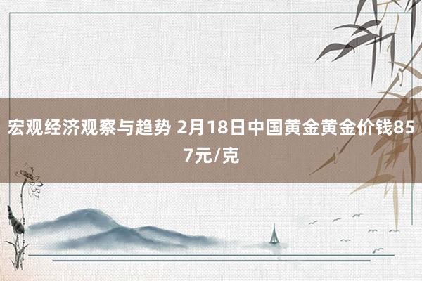 宏观经济观察与趋势 2月18日中国黄金黄金价钱857元/克