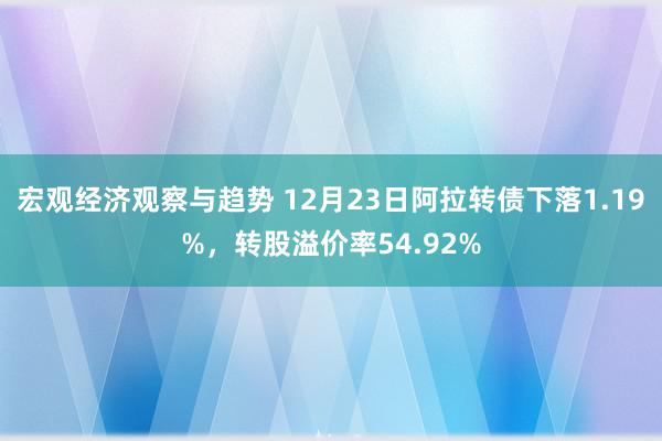 宏观经济观察与趋势 12月23日阿拉转债下落1.19%，转股溢价率54.92%