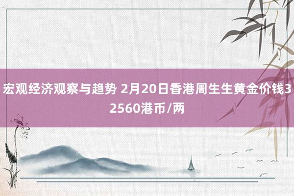 宏观经济观察与趋势 2月20日香港周生生黄金价钱32560港币/两