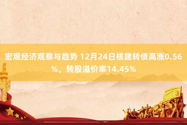 宏观经济观察与趋势 12月24日核建转债高涨0.56%，转股溢价率14.45%