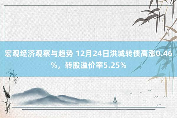 宏观经济观察与趋势 12月24日洪城转债高涨0.46%，转股溢价率5.25%