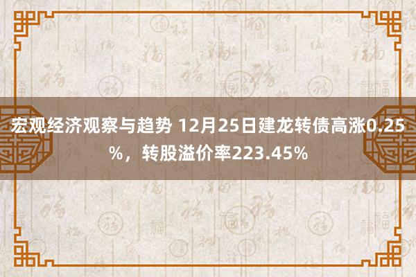 宏观经济观察与趋势 12月25日建龙转债高涨0.25%，转股溢价率223.45%