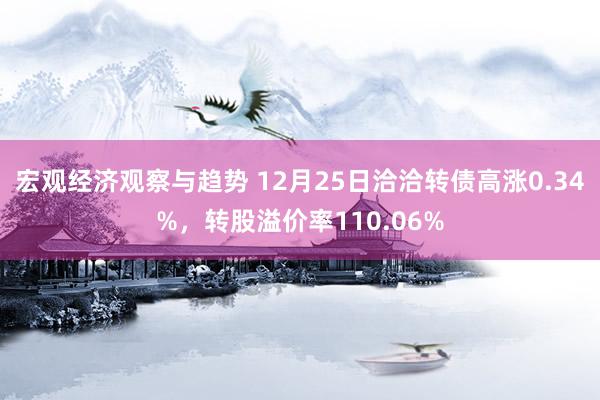 宏观经济观察与趋势 12月25日洽洽转债高涨0.34%，转股溢价率110.06%