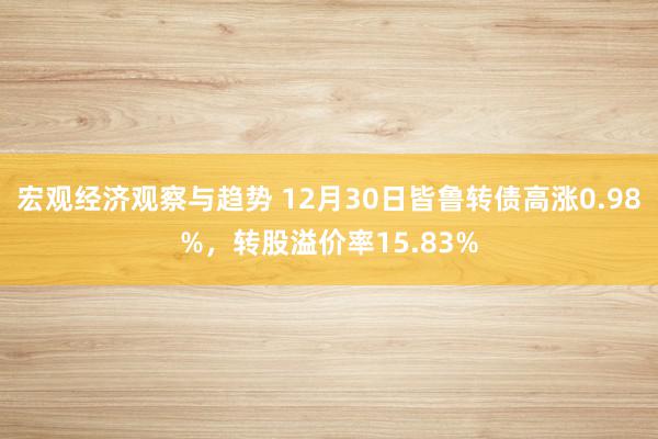 宏观经济观察与趋势 12月30日皆鲁转债高涨0.98%，转股溢价率15.83%