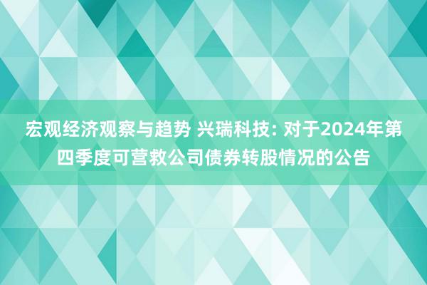 宏观经济观察与趋势 兴瑞科技: 对于2024年第四季度可营救公司债券转股情况的公告